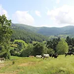 Semesterbostad De La Abuela De Selaya