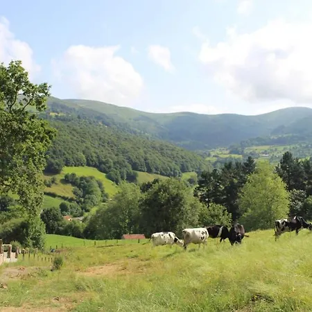 Tatil Evi De La Abuela De Selaya