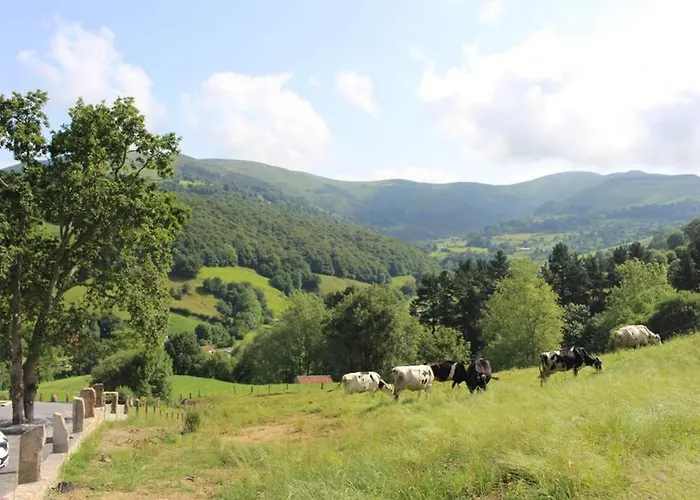 Hébergement de vacances De La Abuela De Selaya